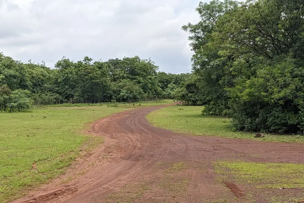 Exploring Vikarabad: A Guide to Things to Do - Cozy Farms