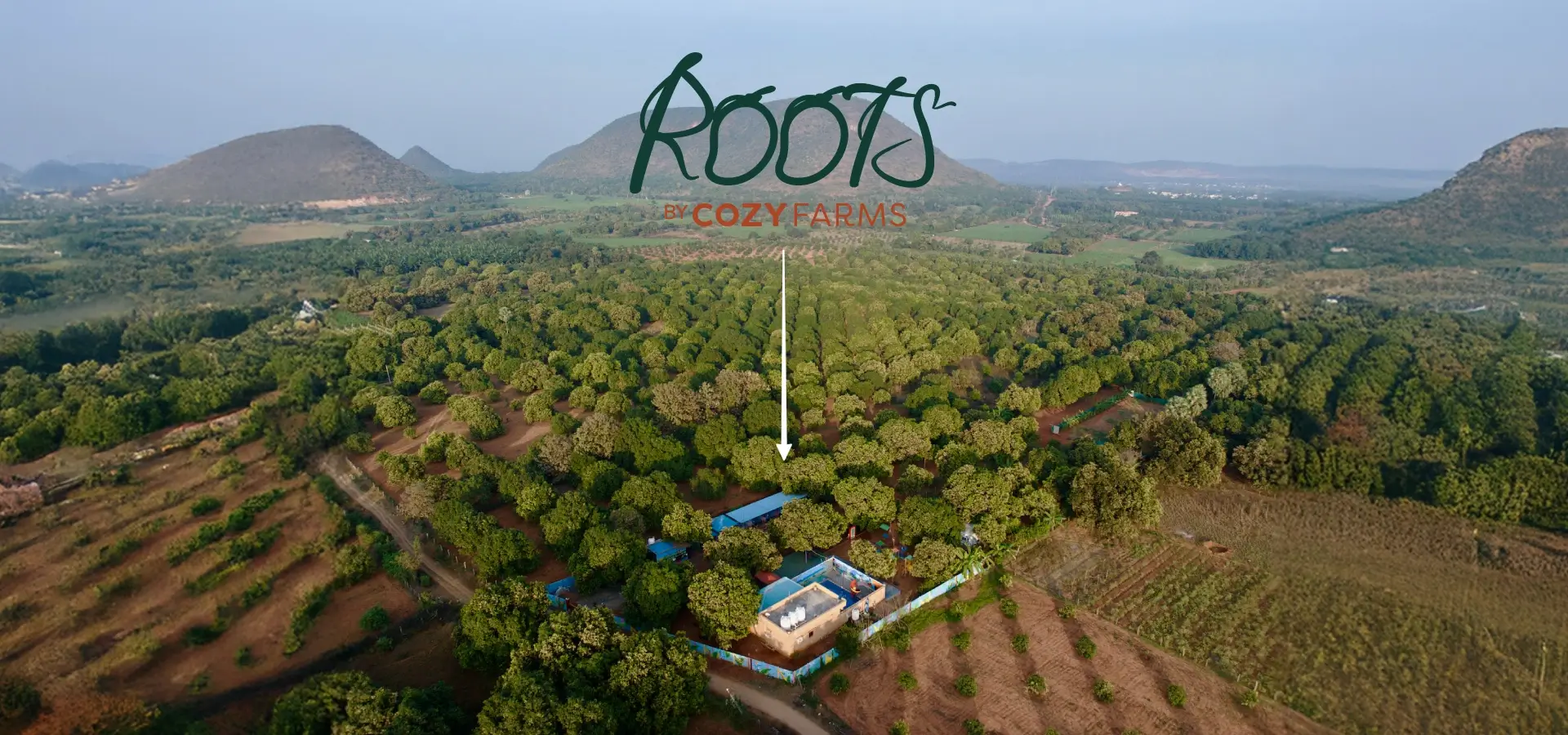 ROOTS by Cozyfarms